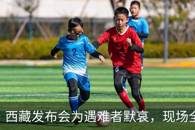 西藏发布会为遇难者默哀，现场全体起立，悼念遇难同胞；此次地震震级高、震源浅，震区平均海拔接近4800米
